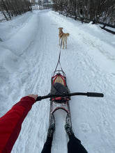 Load image into Gallery viewer, Adventure Sled