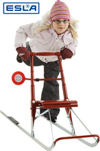 Load image into Gallery viewer, T2 Kicksled