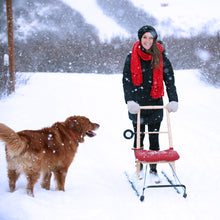 Load image into Gallery viewer, T6 Kicksled