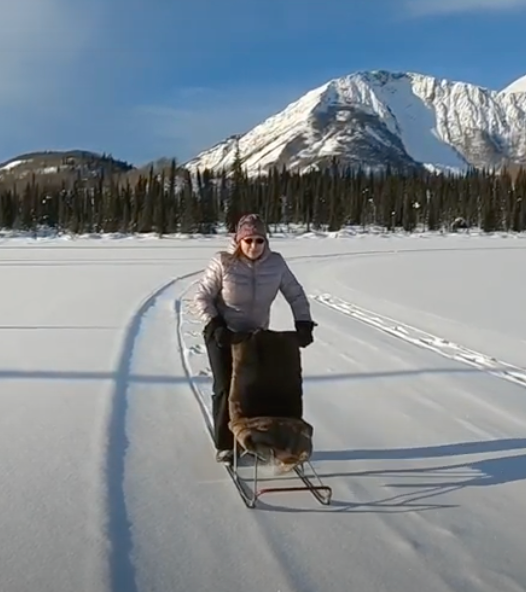 Southcentral Wild Journeys Alaska Kicksled Alaska