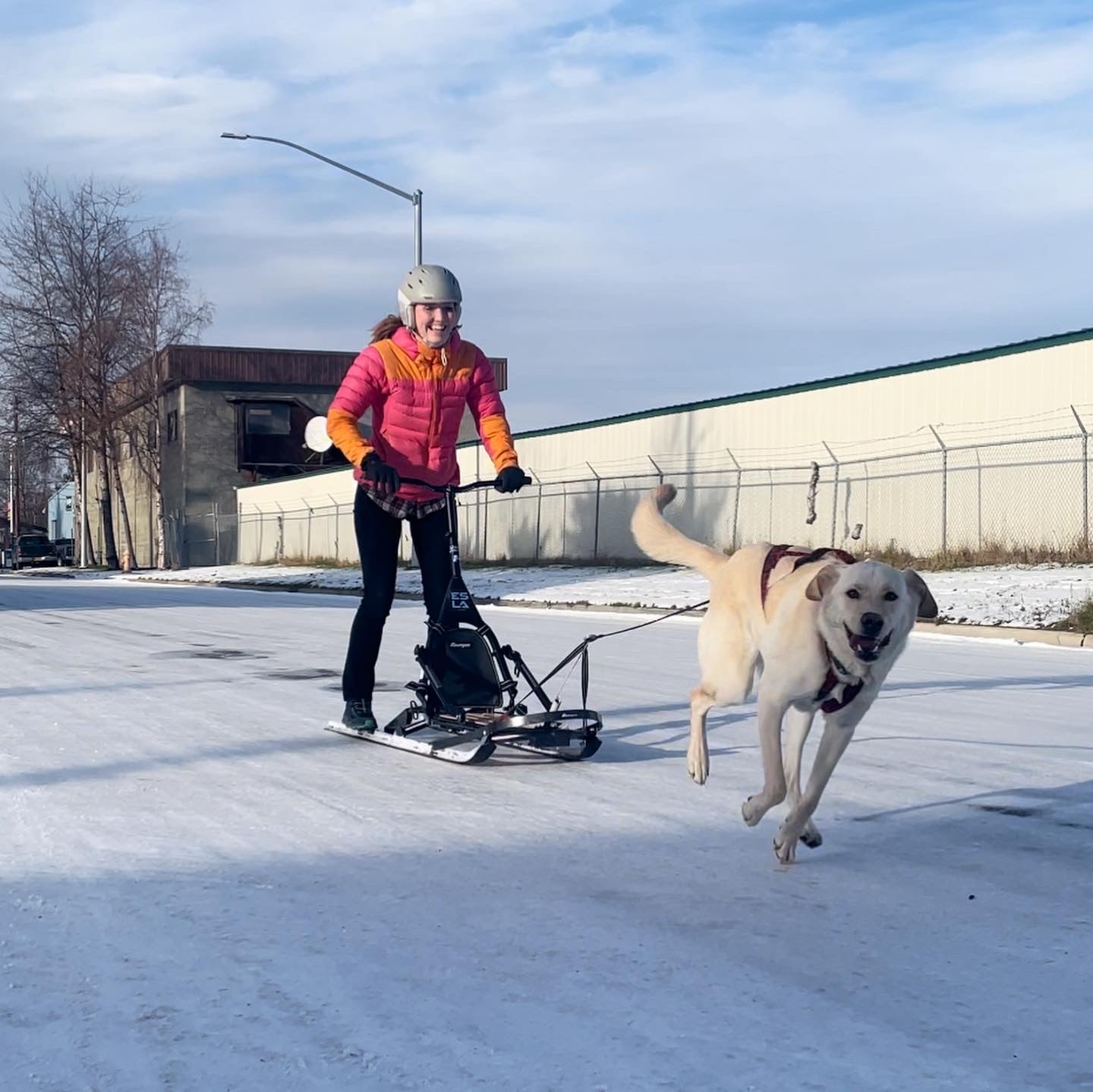 Adventure Sled – Kicksled Alaska